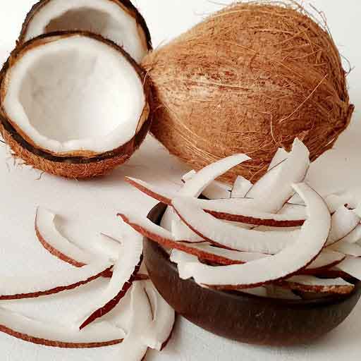 تصویر 1 از خرید و قیمت نارگیل خشک + فروش عمده